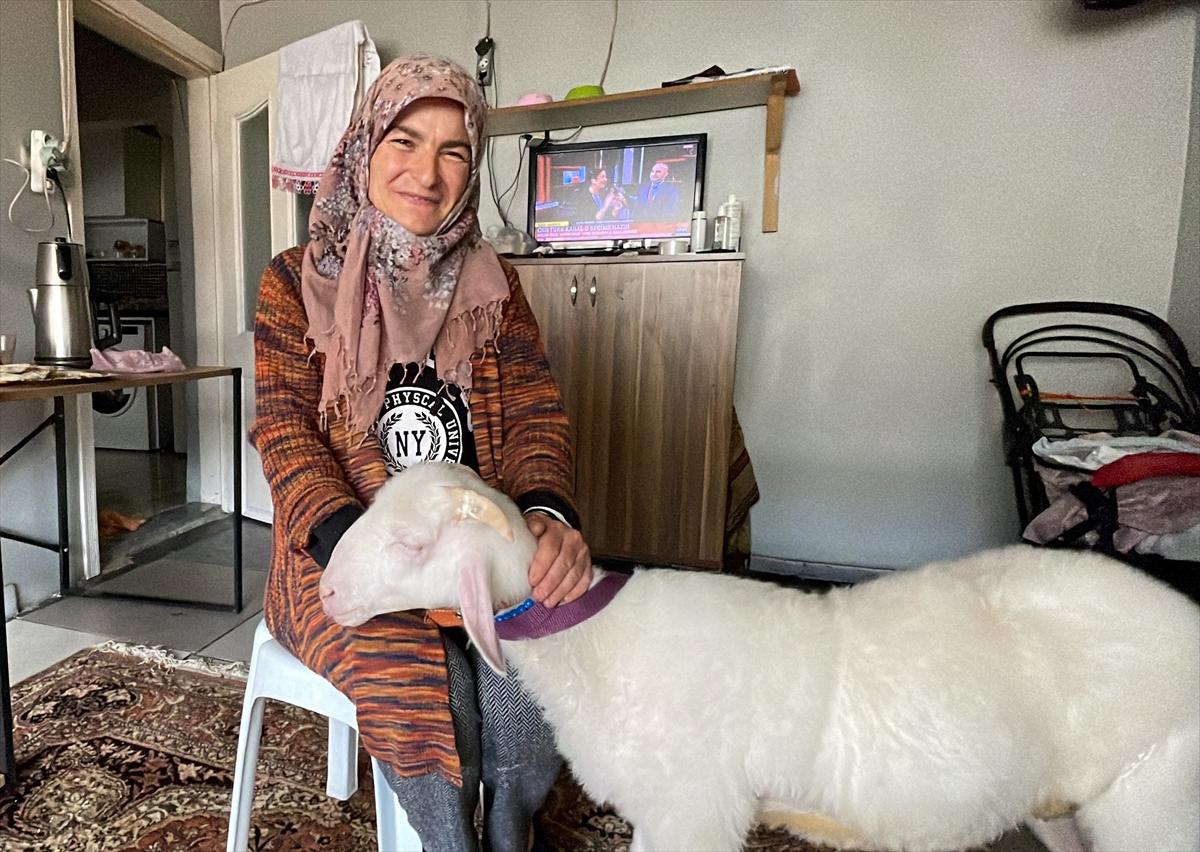 Ümmiye Güzel Pamuk
