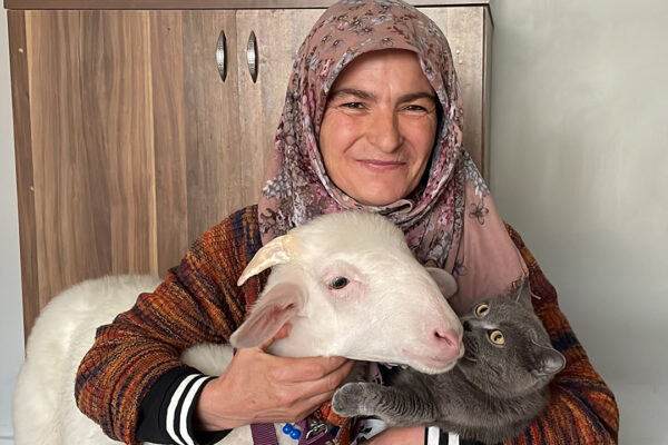 Esra Erol’da Ümmiye Güzel’den Acı İtiraf! Seçimin Maskotu Kuzuyu Pişirip Yemişler