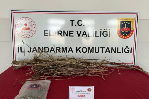 Evlerinde Uyuşturucu Madde Bulunan Şüpheliler Gözaltına Alındı