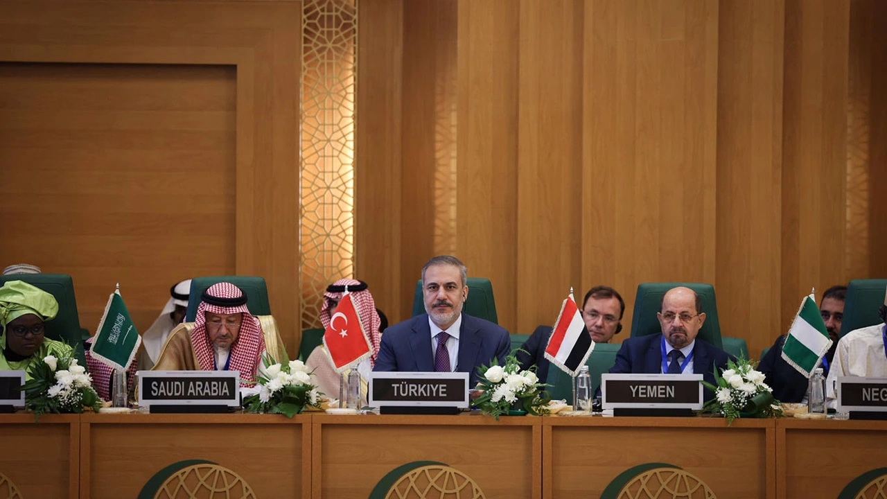 fidan-2.webp