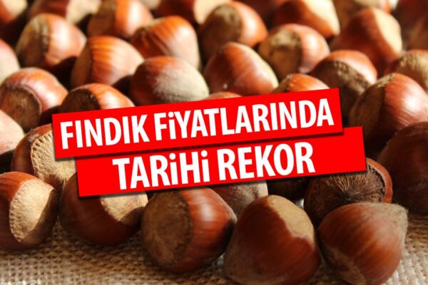 Fındık Fiyatları Rekor Kıracak! O Tarihte Kilosu 5 Dolardan Satılacak