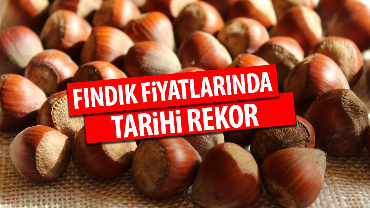 fındık fiyatları rekor kıracak o tarihte kilosu 5 dolardan satılacak