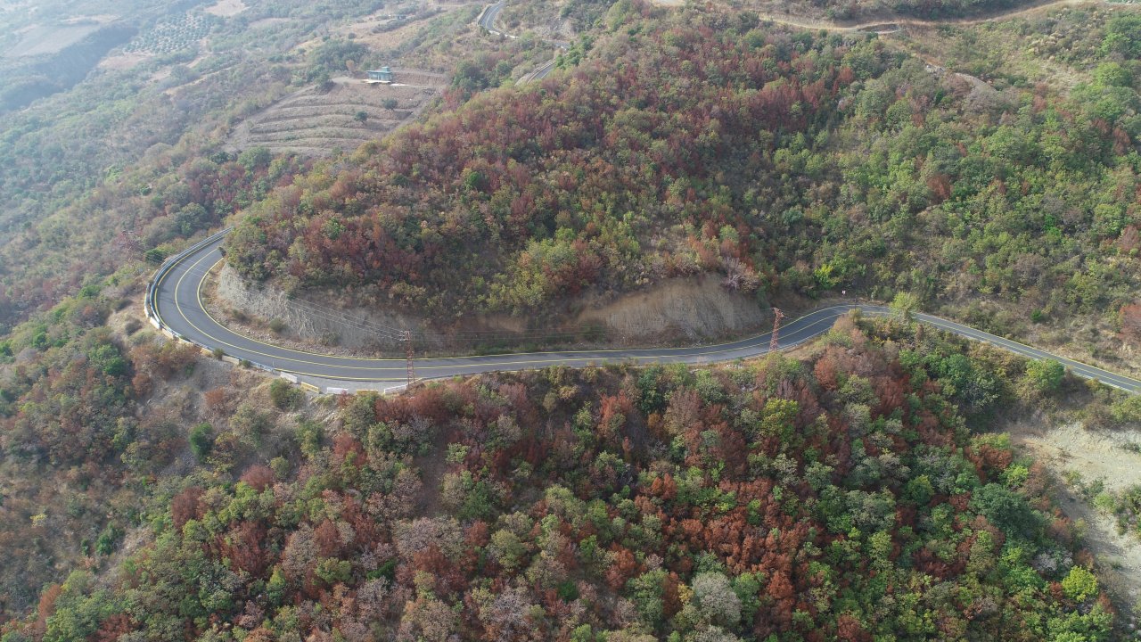 ganos dağı eteklerindeki ormanlar sonbahar renkleriyle büylüyor