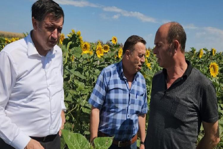 gaytancıoğlu ayçiçeği taban fiyatı en az 20 tl olmalı