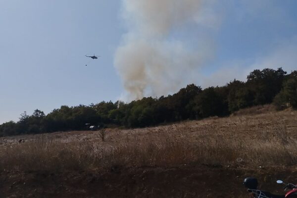 Gebze’de Çıkan Orman Yangınına Havadan Ve Karadan Müdahale Devam Ediyor