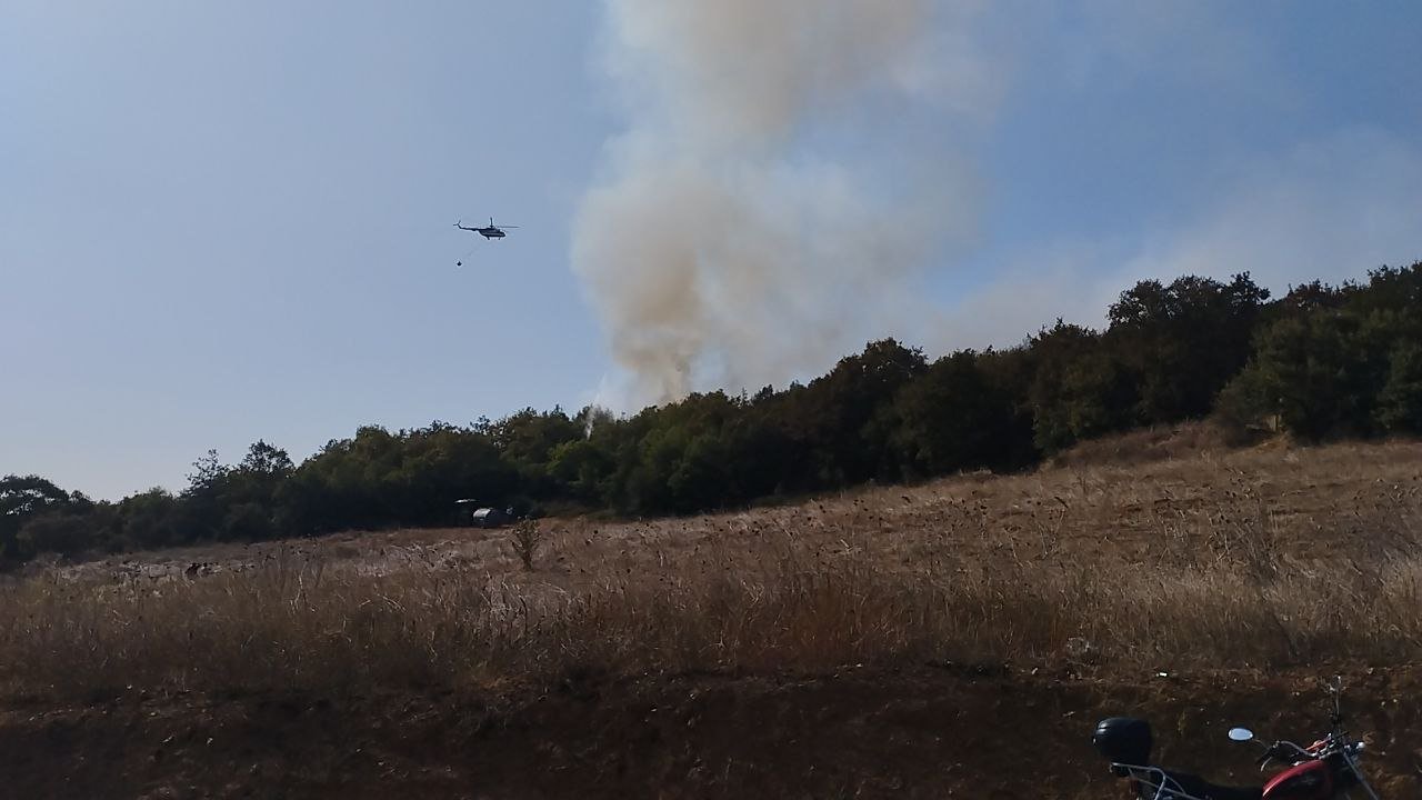 gebzede Çıkan orman yangınına havadan ve karadan müdahale devam ediyor