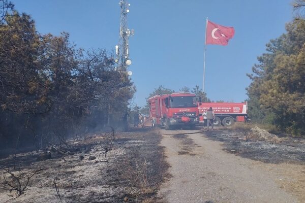 Gebze’deki Orman Yangını Hızlı Müdahale İle Kontrol Altına Alındı