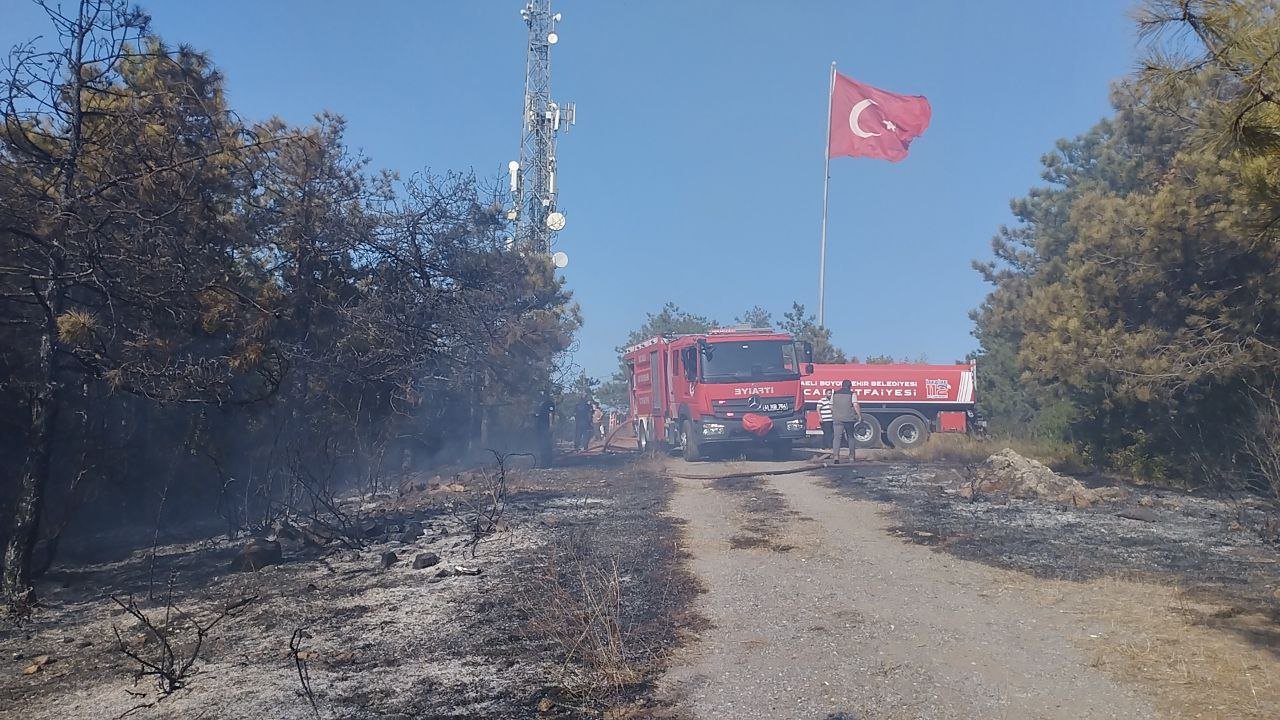 gebzedeki orman yangını hızlı müdahale İle kontrol altına alındı