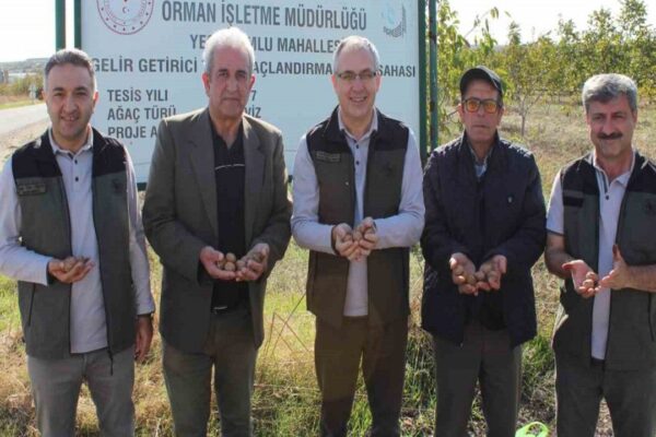 Gelir Getirici Tür Ağaçlandırma Projesi Meyvesini Verdi