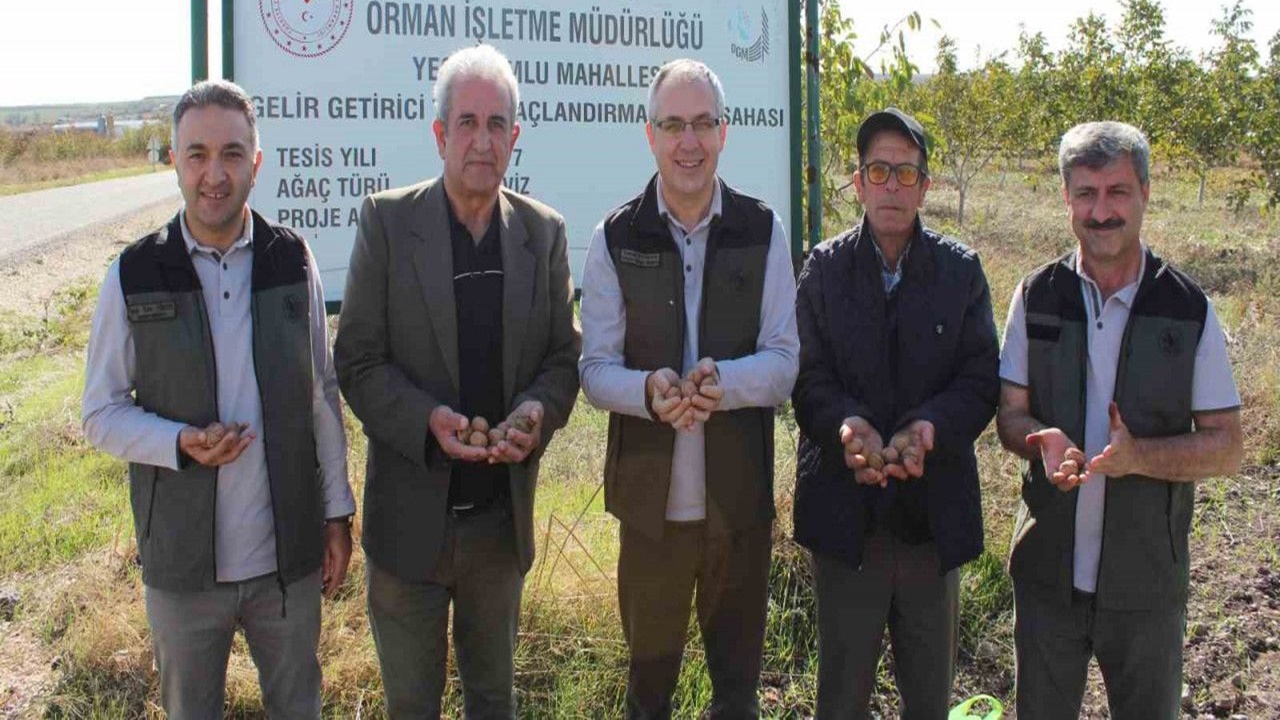 gelir getirici tür ağaçlandırma projesi meyvesini verdi