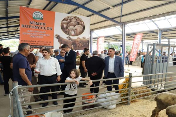 Gönen’de Küçükbaş Hayvan Üreticileri Panayırında Buluştu