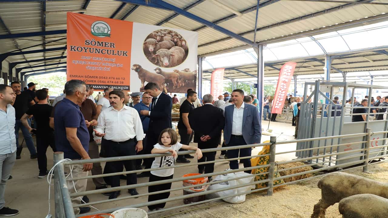 gönende küçükbaş hayvan Üreticileri panayırında buluştu