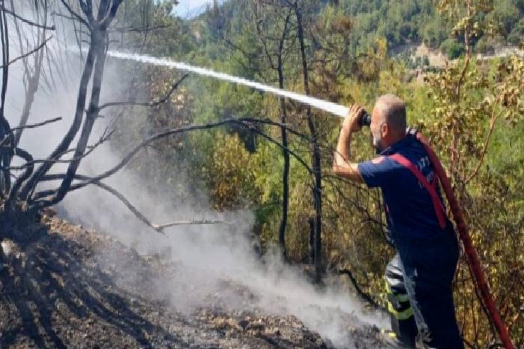 hatay antakyadaki orman yangınları söndürüldü