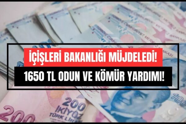 İçişleri Bakanlığı Sosyal Yardım Ödemelerine Başladı! Odun ve Kömür Yardımı Başvuru Ekranı!