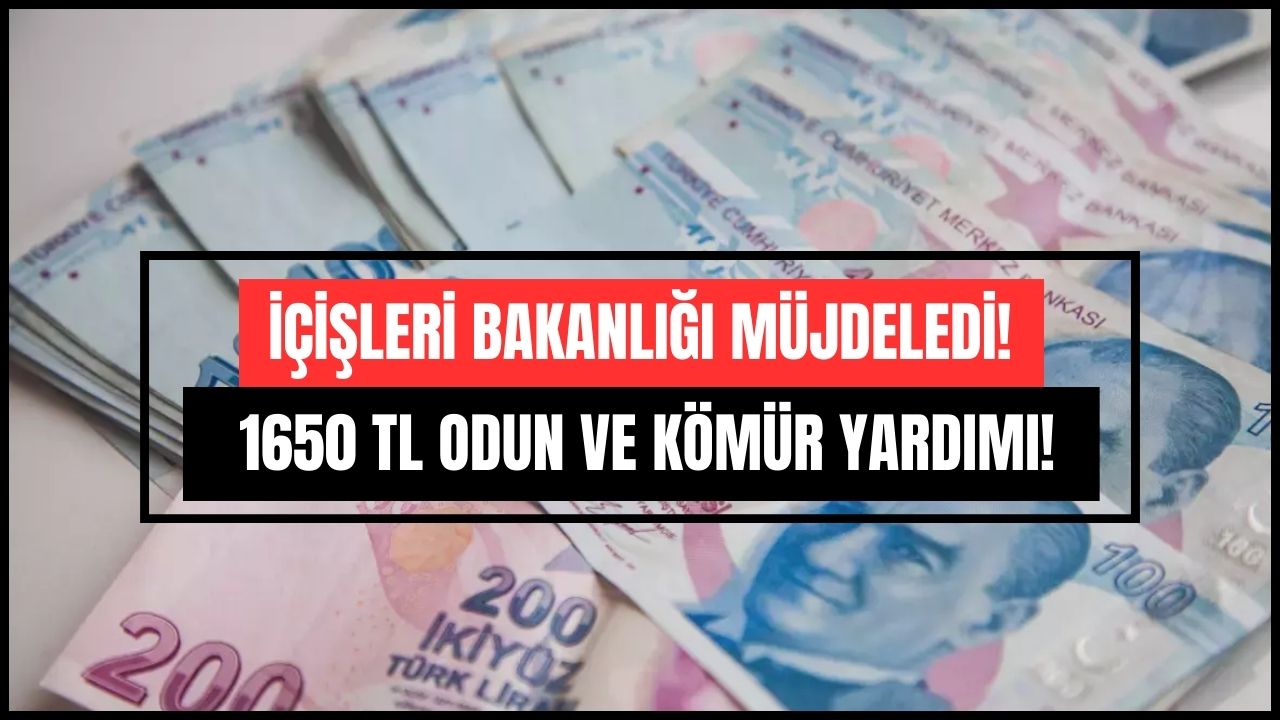 İçişleri bakanlığı sosyal yardım Ödemelerine başladı odun ve kömür yardımı başvuru ekranı