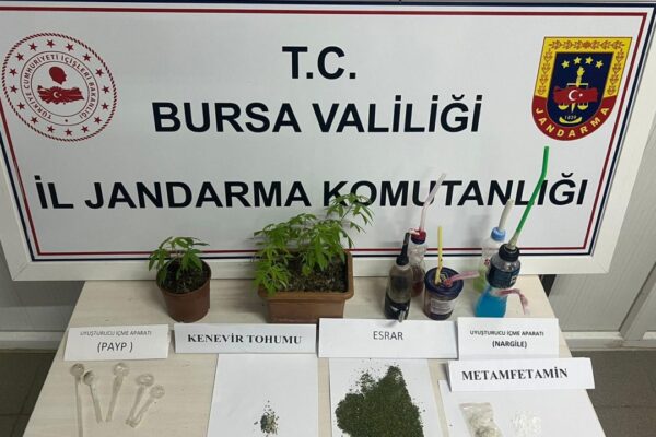 İnegöl’de Yasa Dışı Kenevir Ekimi Operasyonu