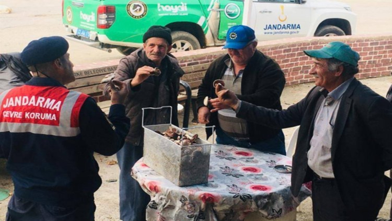 jandarma edirnede mantar zehirlenmelerine karşı bilgilendirme yaptı