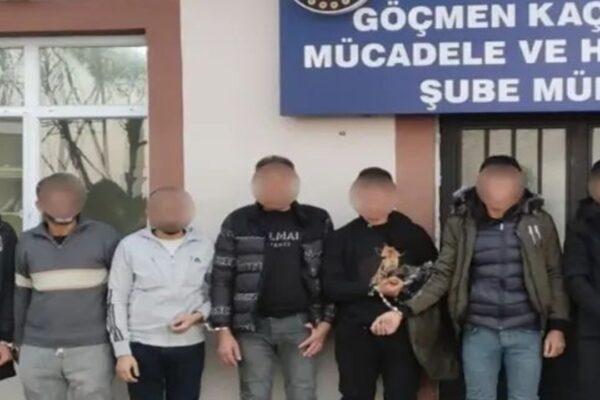 Kaçak Yolla Getirilen 12 Büyükbaş Hayvan İçin Cezai İşlem
