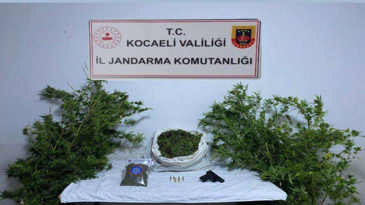 kaçakçılara darbe kocaelide 4 kilo 88 gram skunk ele geçirildi