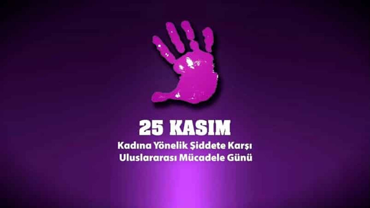 kadına yönelik Şiddete karşı uluslararası mücadele günü basın açıklaması