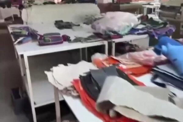 Kağıthane’deki Kaçakçılık Operasyonunda Yabani Hayvan Derileri Ele Geçirildi