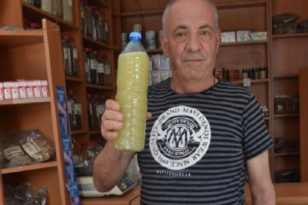 Kanser tedavisine bitkisel destek