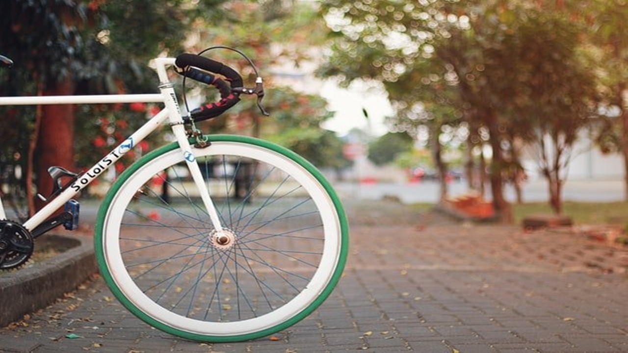 “Kapıdağ Yarımadası Ekoturizm Rotasında” Bisiklet Turu Düzenlendi