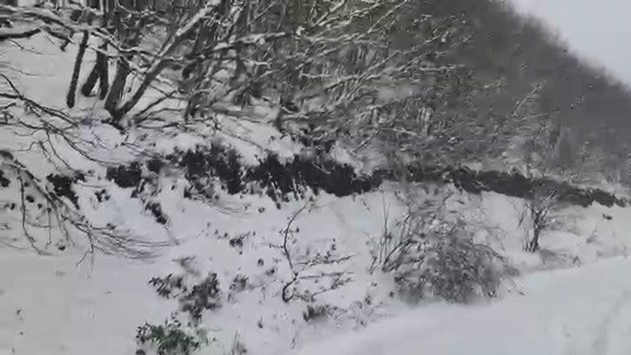 Karamürsel’de Yüksek Kesimlerde Kar Etkili Oldu