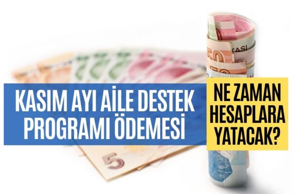 Kasım Ayı Aile Destek Programı Ödemeleri Belli Oldu!