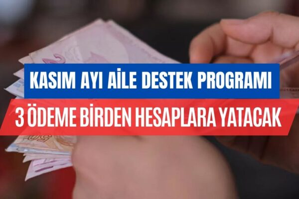Kasım Ayında Aile Destek Parasına Ek 910 TL Ödeme Yapılacağı Kesinleşti!