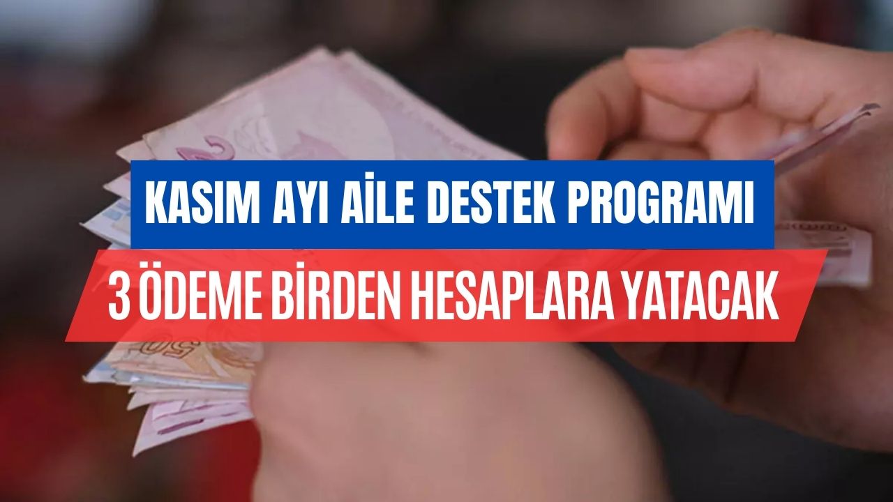 kasım ayında aile destek parasına ek 910 tl Ödeme yapılacağı kesinleşti
