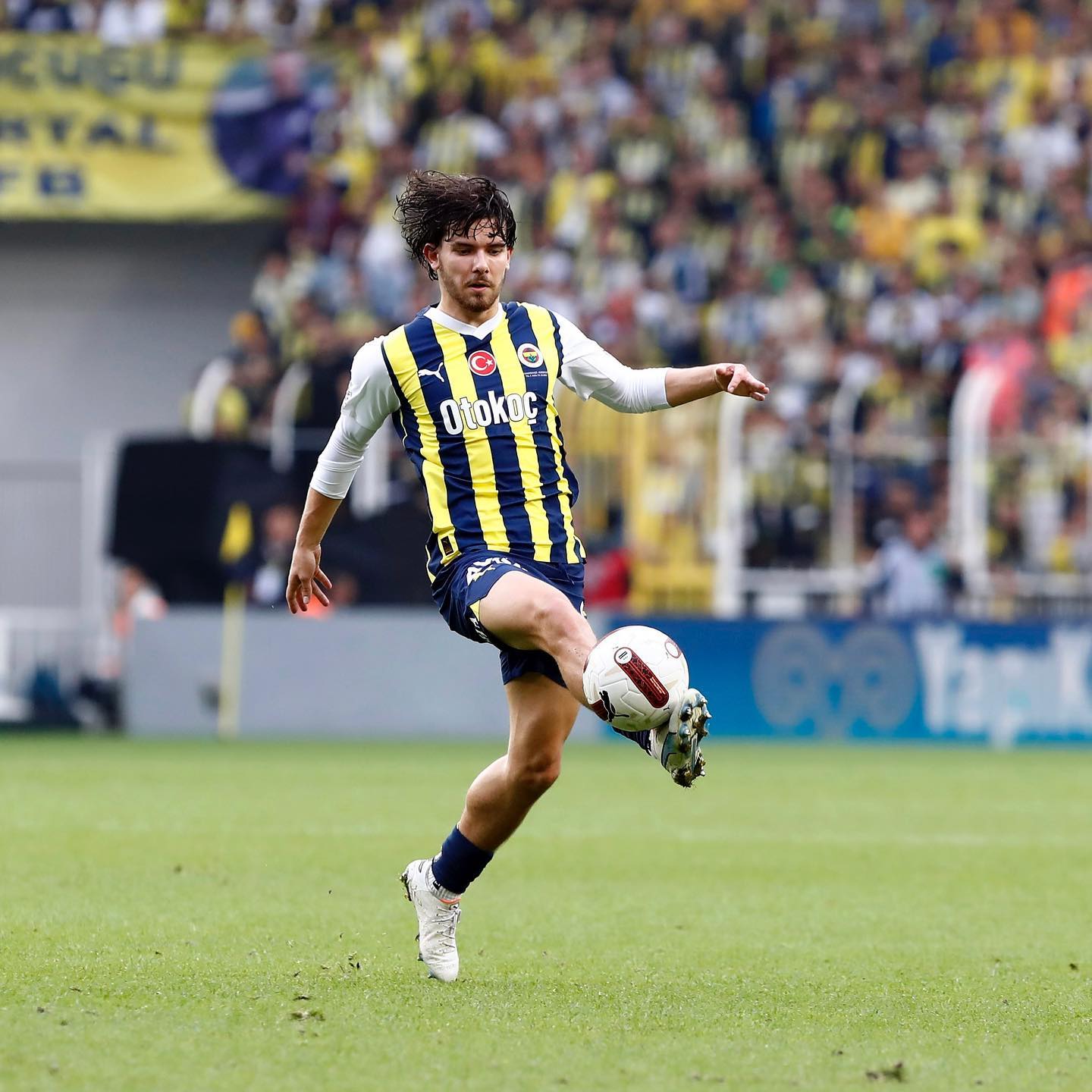 Kasımpaşa Fenerbahçe