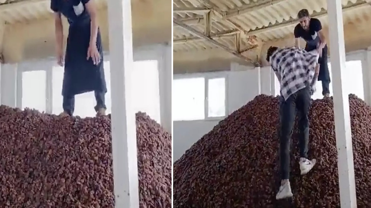 kayısıların ayakkabılarla ezildiği skandal görüntüler sosyal medyayı salladı