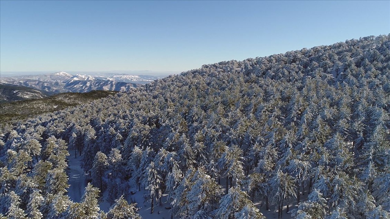 kazdağı milli parkı beyaza büründü