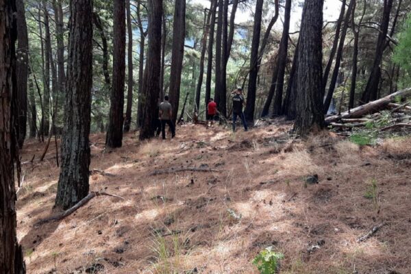 Kazdağları’ndaki orman yangını söndürüldü