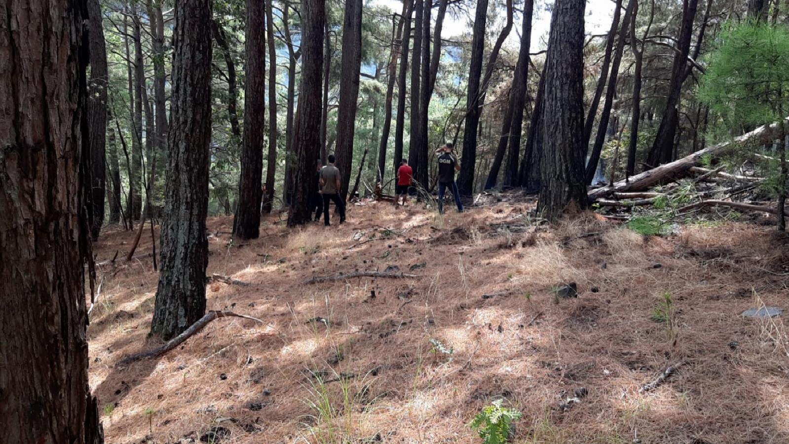 kazdağlarındaki orman yangını söndürüldü