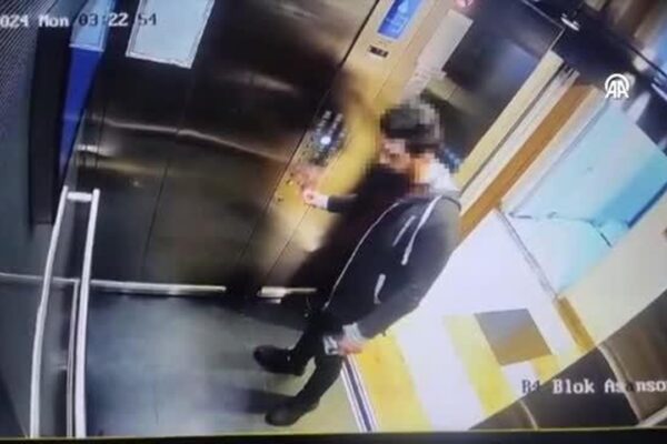 Kedi Öldüren Zanlı Yakalandı