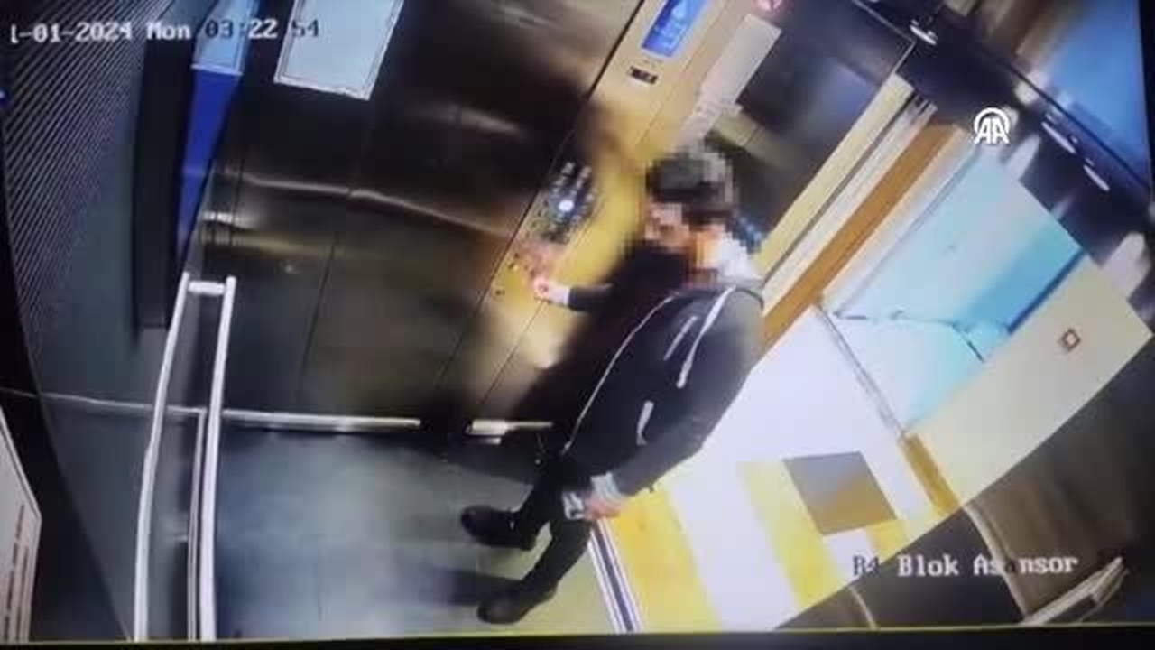 kedi Öldüren zanlı yakalandı