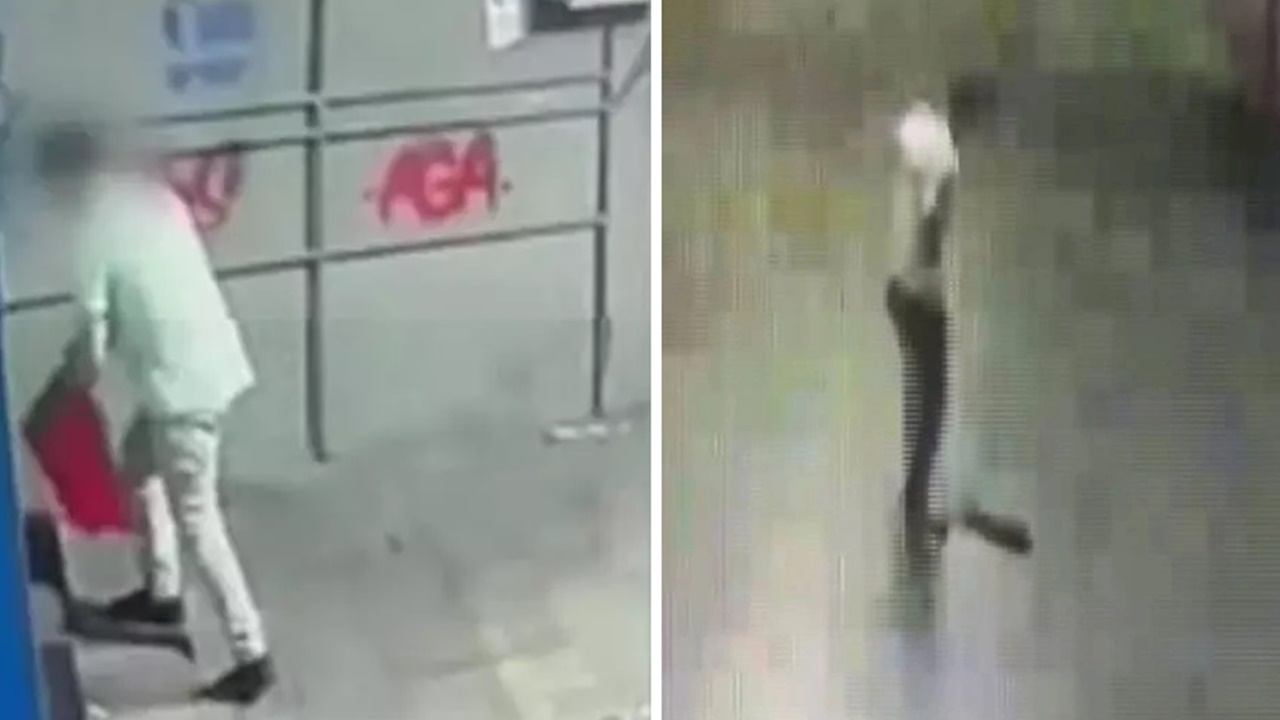 kediyi tekmeleyerek Öldüren Şahıs tutuklandı