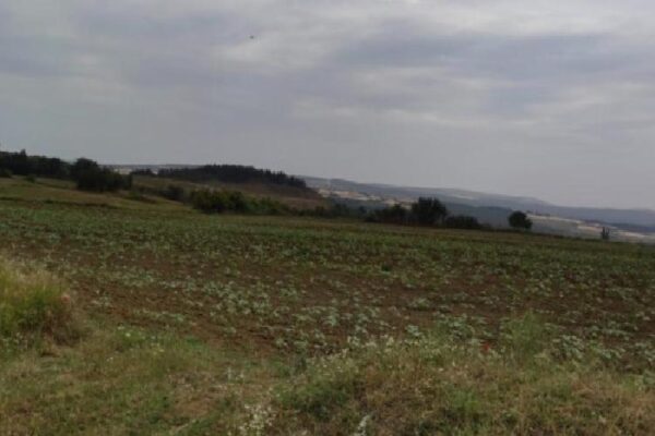 Keşan’a 1,5 milyar TL’lik RES için ÇED süreci başladı