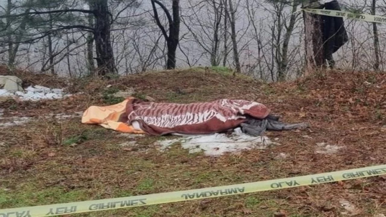 kestiği ağacın altında kalarak Öldü