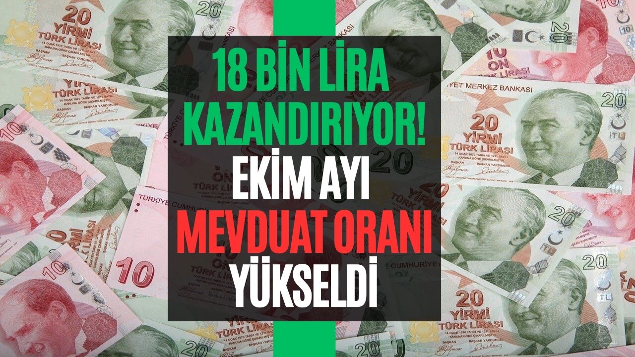 kim İstemez ki yattığı yerden her ay 18 bin lira kazansın bunu yapmanız lazım