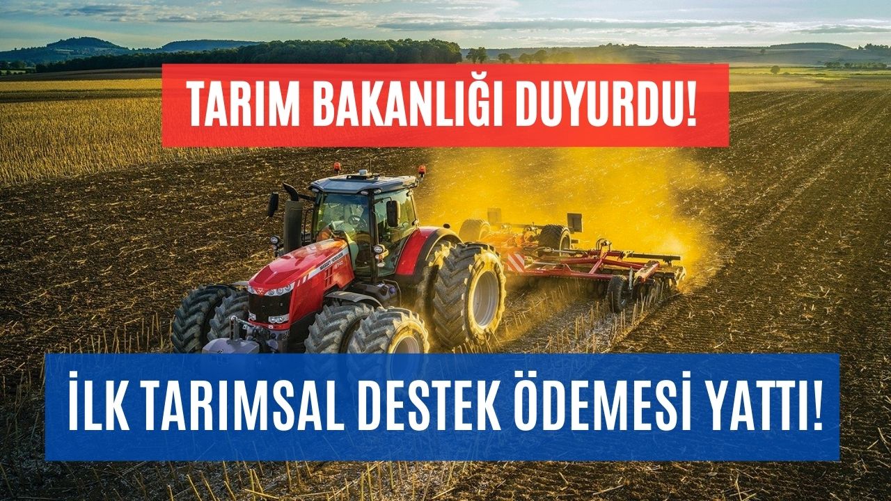 kime kaç tl tarımsal destek Ödemesi yatırıldığı belli oldu kalem kalem tarımsal destek Ödemesi tutarı