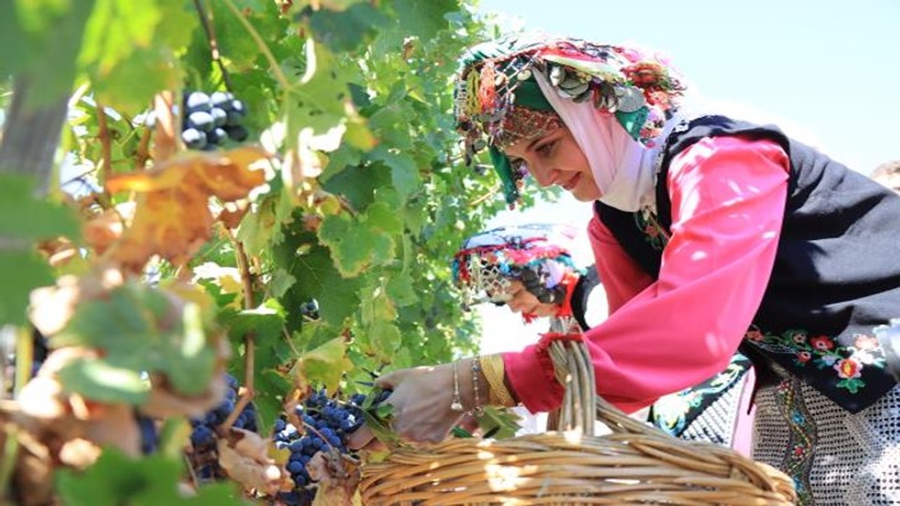 kırklarelinde geleneksel kızılcıkdere bağ bozumu Şenlikleri başladı