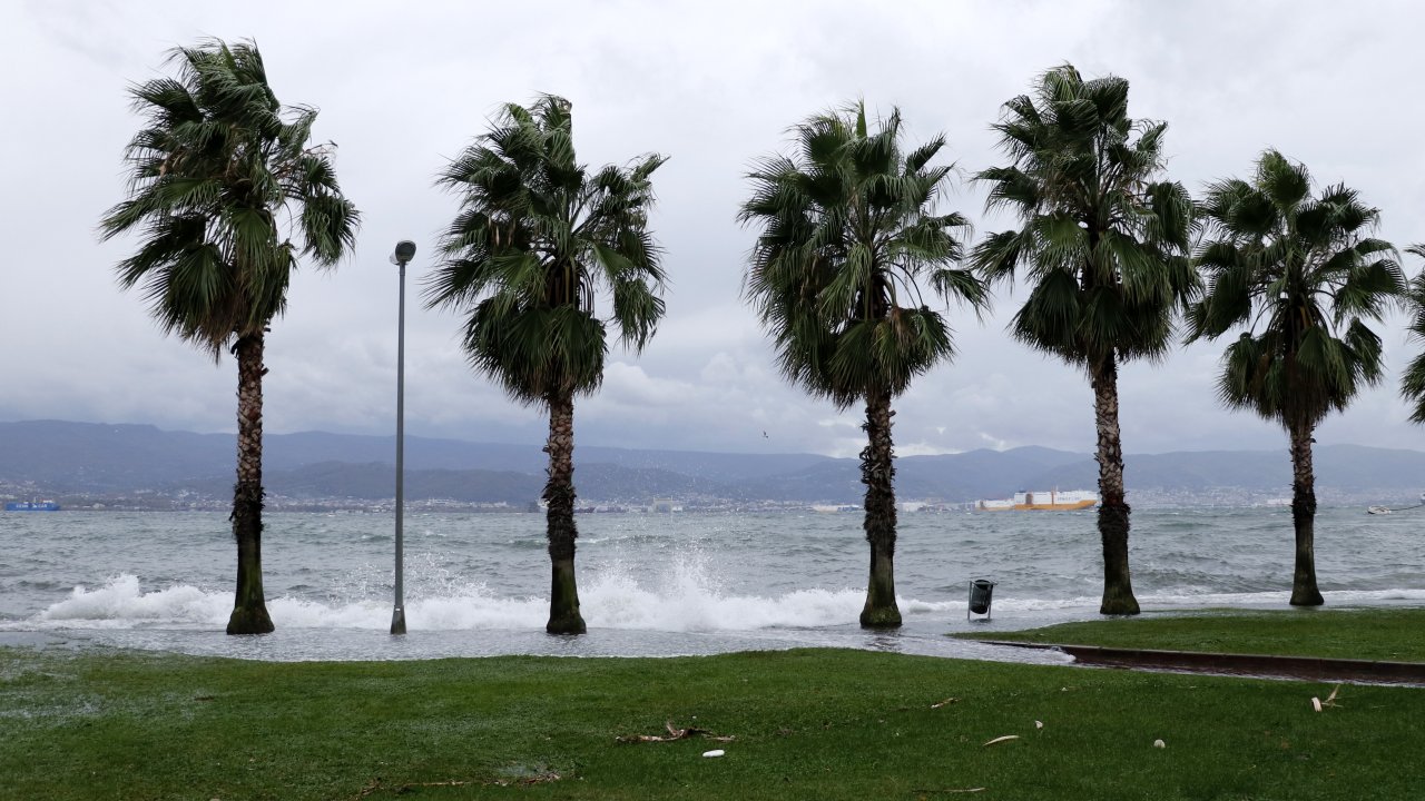 kocaeli ve düzcede fırtına