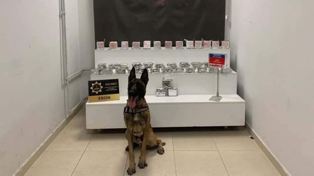 kocaelide 21 kilogram eroin ele geçirildi