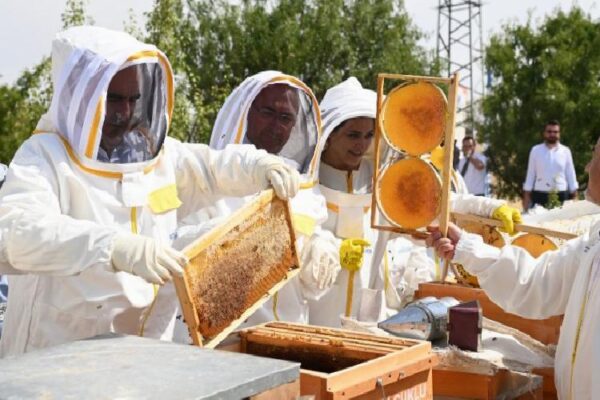 Konya Selçuklu’da birinci hasat yapıldı… 1 ton bal bekleniyor