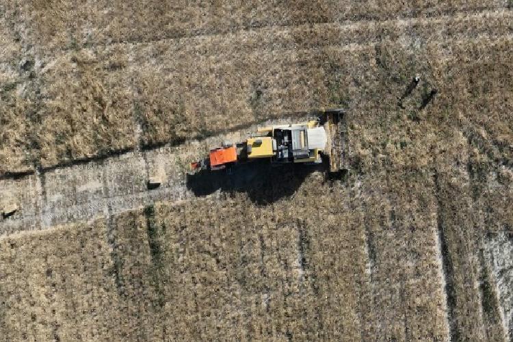 konya yerli tohum için ar-geyi hızlandırdı