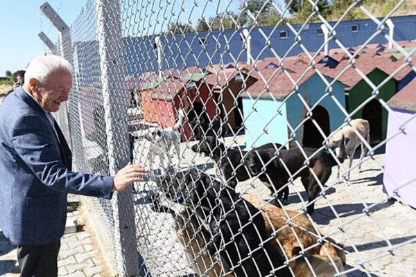 Lapseki Belediye Başkanı Eyüp Yılmaz Sahipsiz Hayvanlar İçin Ormanlık Alan Tahsis Etti