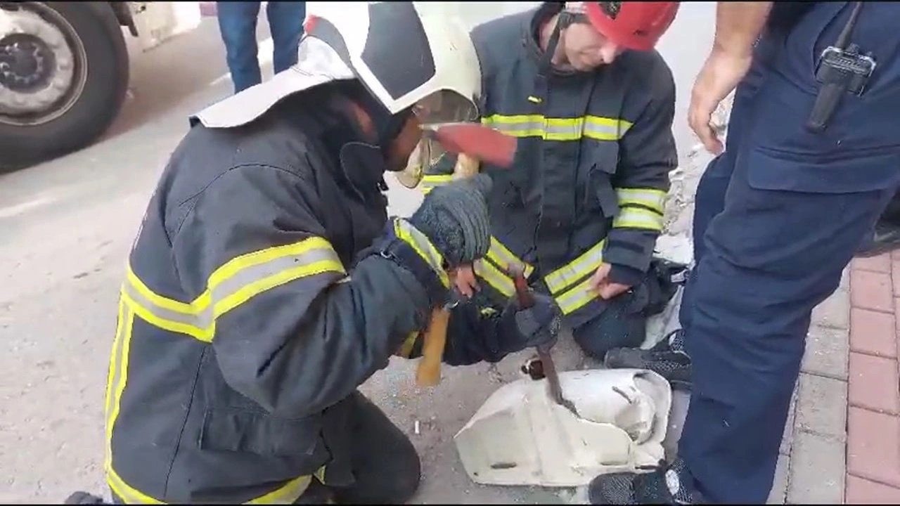 lavaboya sıkışan kedi yavrusu kurtarıldı
